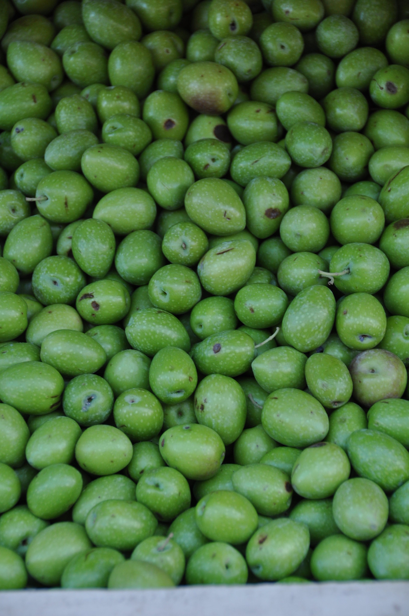 Olive verdi fresche in vendita su un banco a Ragusa
