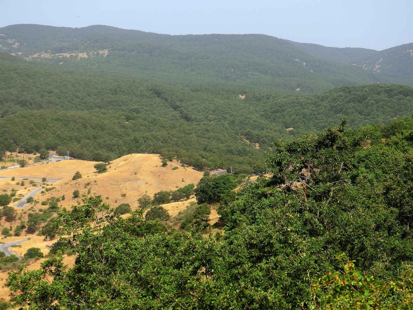 Colline coperte di boschi nel Parco dei Nebrodi, in provincia di Messina